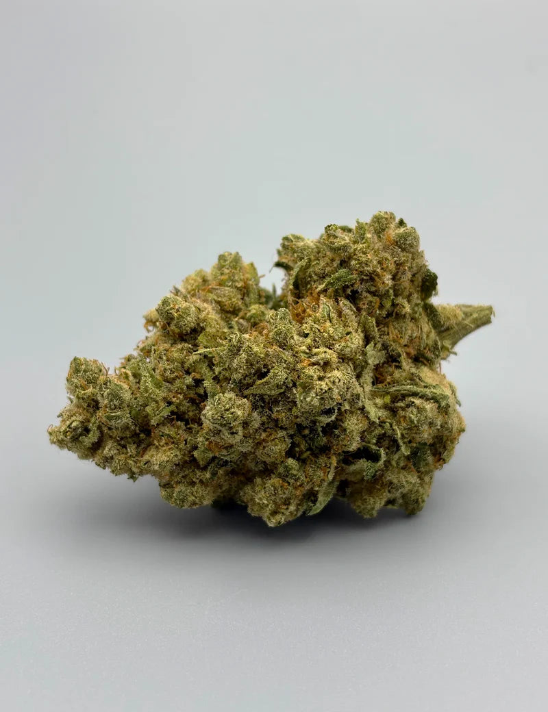 Amnesia super strain